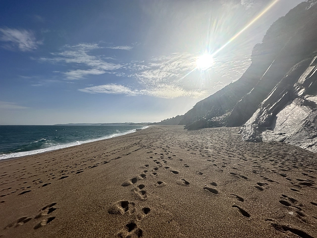 footprints in the sand